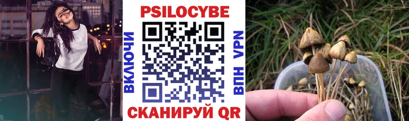 Псилоцибиновые грибы MAGIC MUSHROOMS  наркошоп  Нефтегорск 